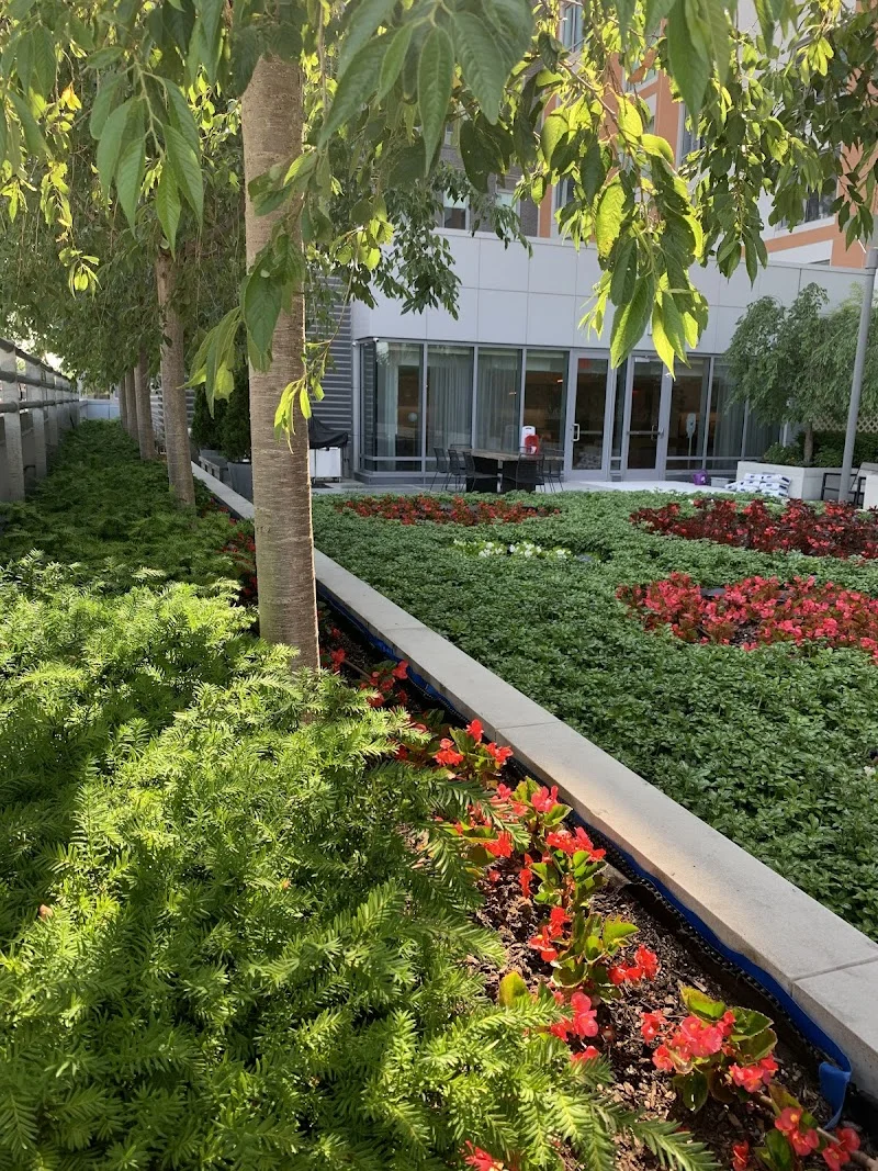 NY Horticulture Group: NYC Landscape Design